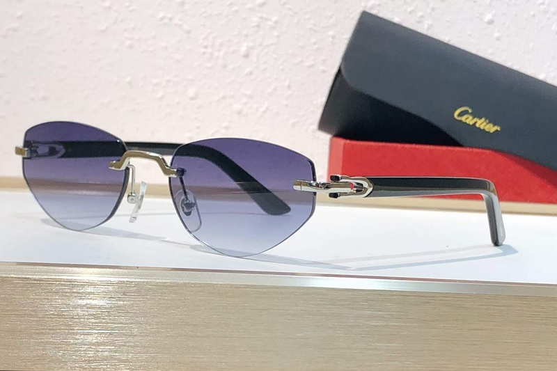 CT0580S Sunglasses Silver Gradient Blue