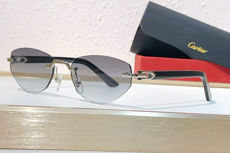 CT0580S Sunglasses Silver Gradient Gray