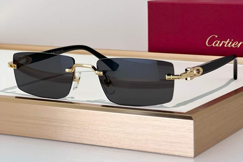 CT0581O Sunglasses Gold Gray