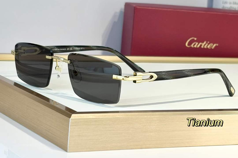 CT0582S Sunglasses Gold Gray