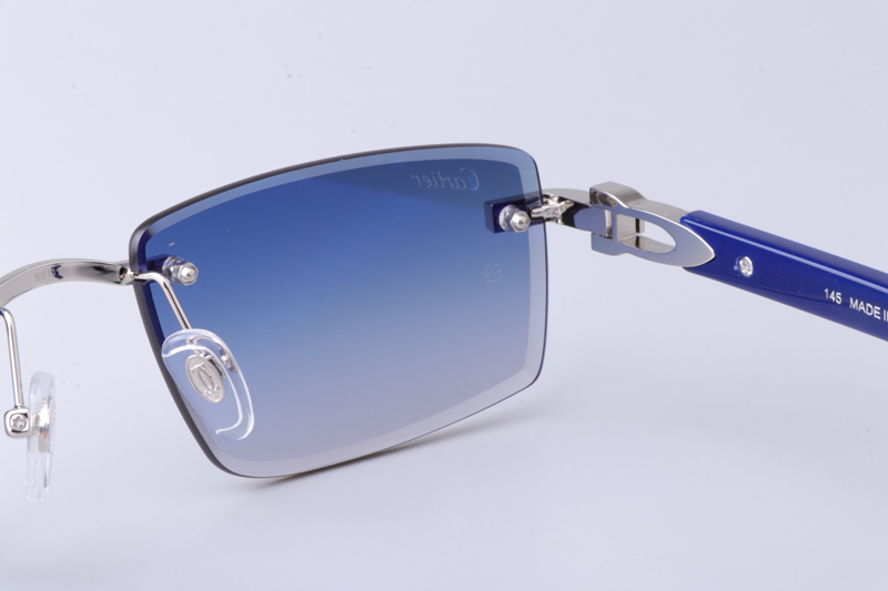 CT0582S Sunglasses Silver Gradient Blue