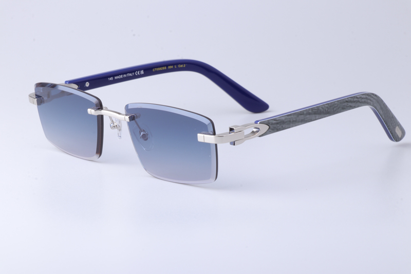 CT0582S Sunglasses Silver Gradient Blue