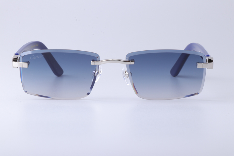 CT0582S Sunglasses Silver Gradient Blue