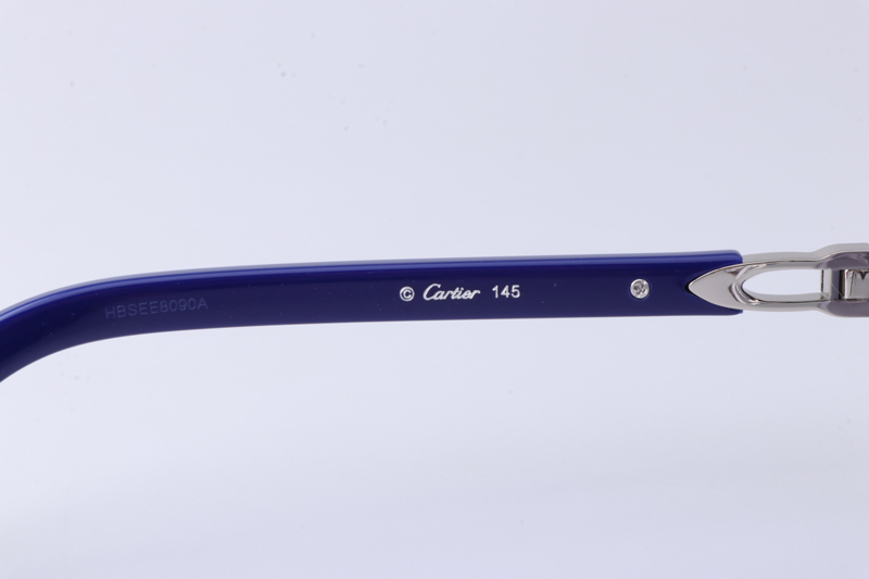 CT0582S Sunglasses Silver Gradient Blue