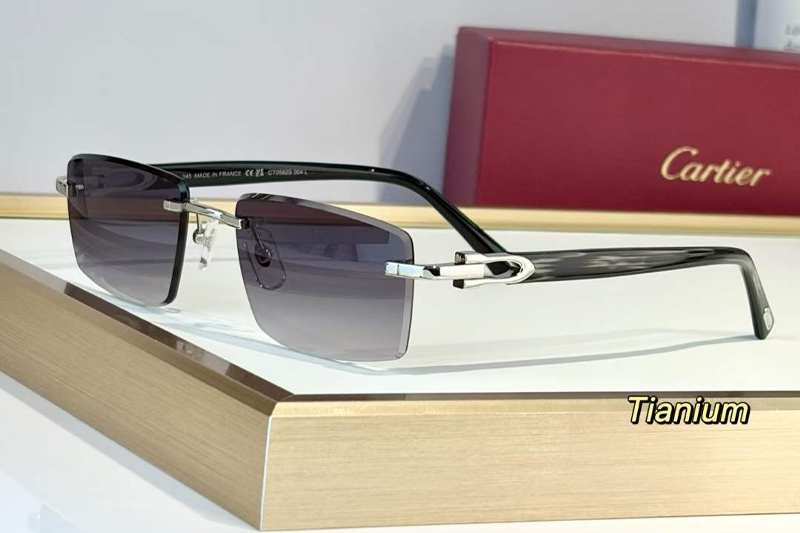 CT0582S Sunglasses Silver Gradient Gray