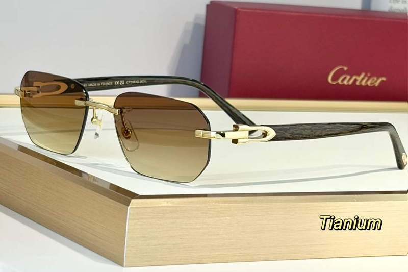 CT0583O Sunglasses Gold Gradient Brown