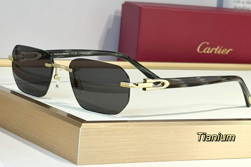 CT0583O Sunglasses Gold Gray