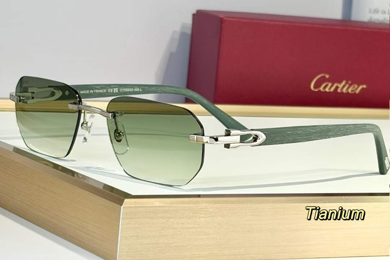 CT0583O Sunglasses Silver Gradient Green