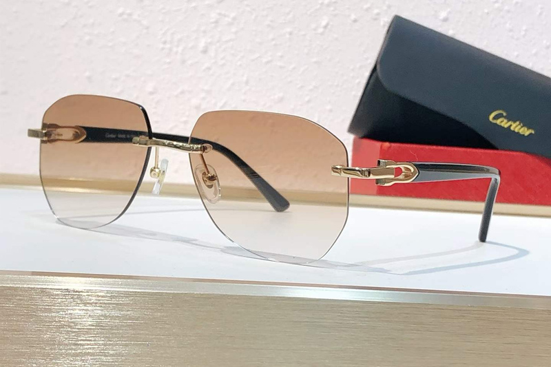 CT0583S Sunglasses Gold Gradient Brown