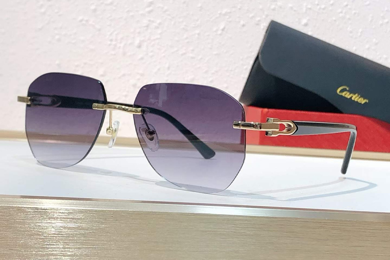 CT0583S Sunglasses Gold Gradient Gray