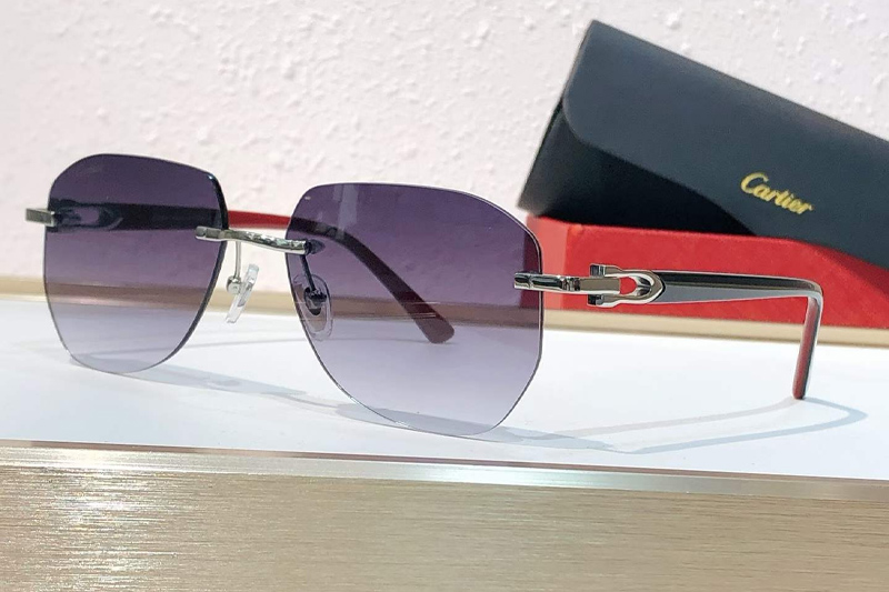 CT0583S Sunglasses Silver Black Red Gradient Gray