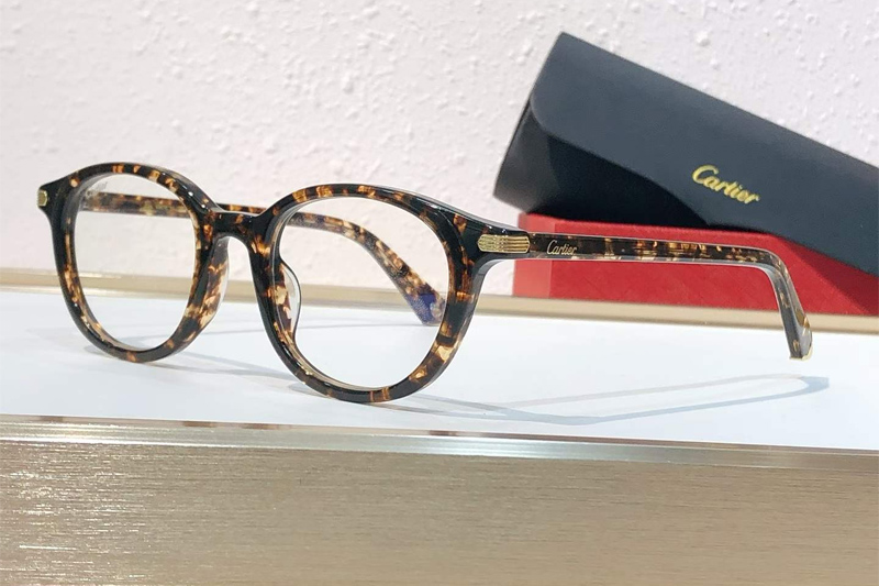 CT0584S Eyeglasses Tortoise