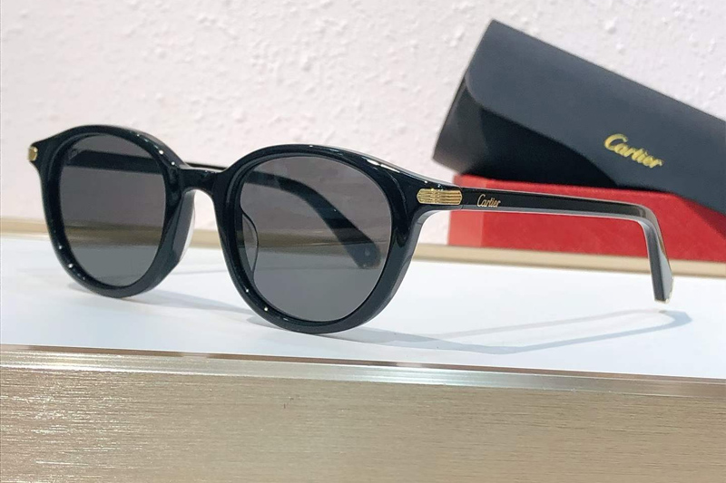 CT0584S Sunglasses Black Gray