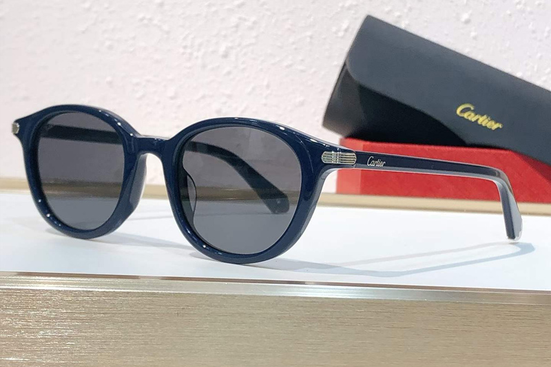 CT0584S Sunglasses Blue Gray