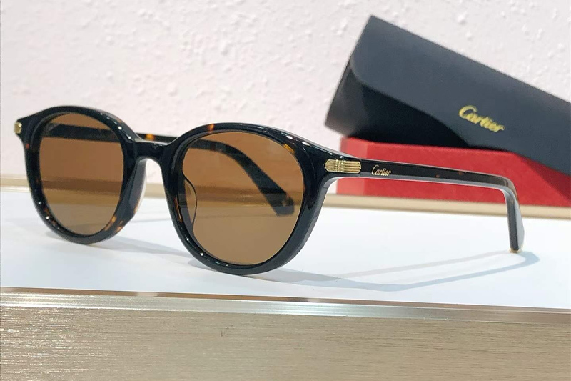 CT0584S Sunglasses Tortoise Brown