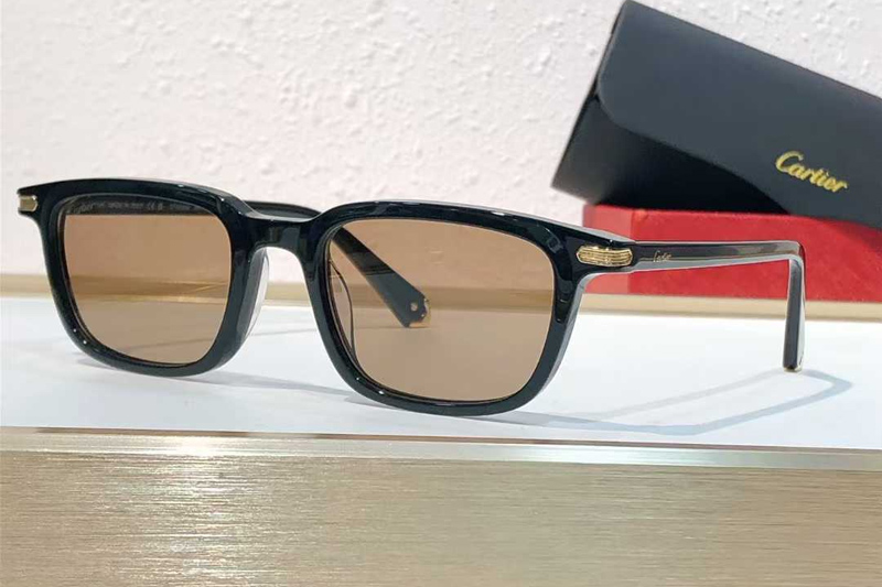 CT0586S Sunglasses Black Brown