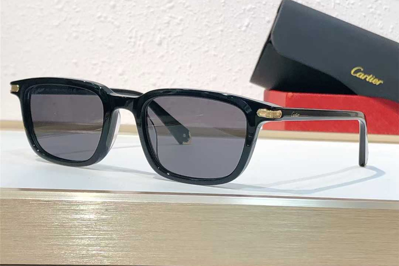 CT0586S Sunglasses Black Gray