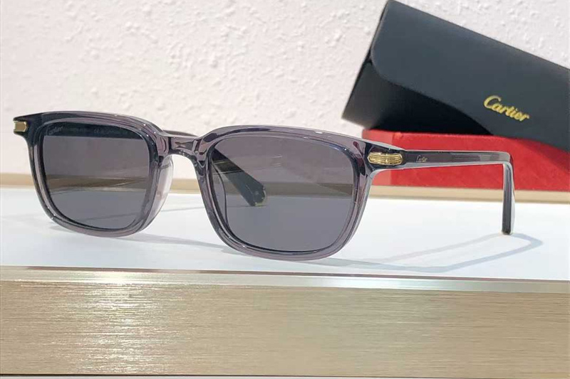 CT0586S Sunglasses Gray Gray