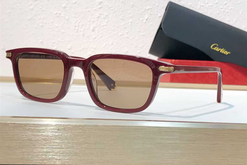 CT0586S Sunglasses Red Brown