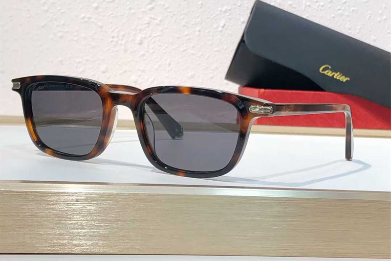 CT0586S Sunglasses Tortoise Gray