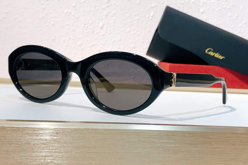 CT0588S Sunglasses Black Gray