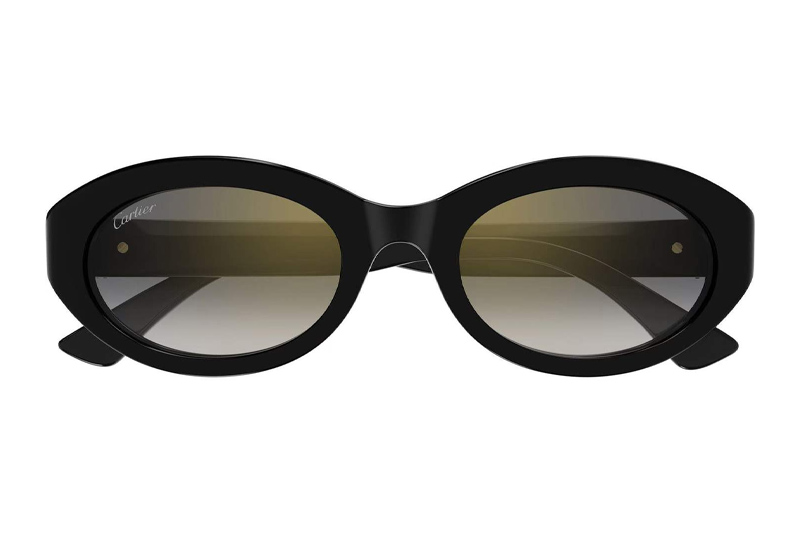 CT0588S Sunglasses Black Gray