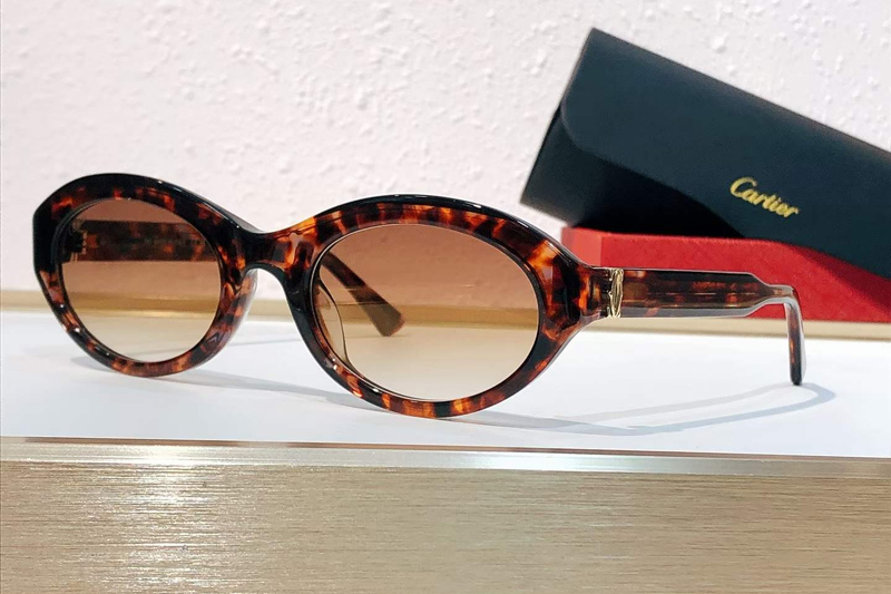 CT0588S Sunglasses Tortoise Gradient Brown