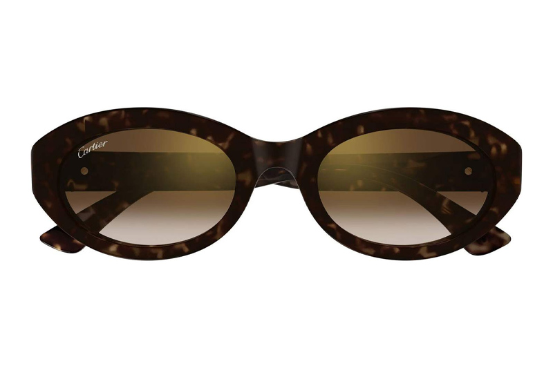 CT0588S Sunglasses Tortoise Gradient Brown