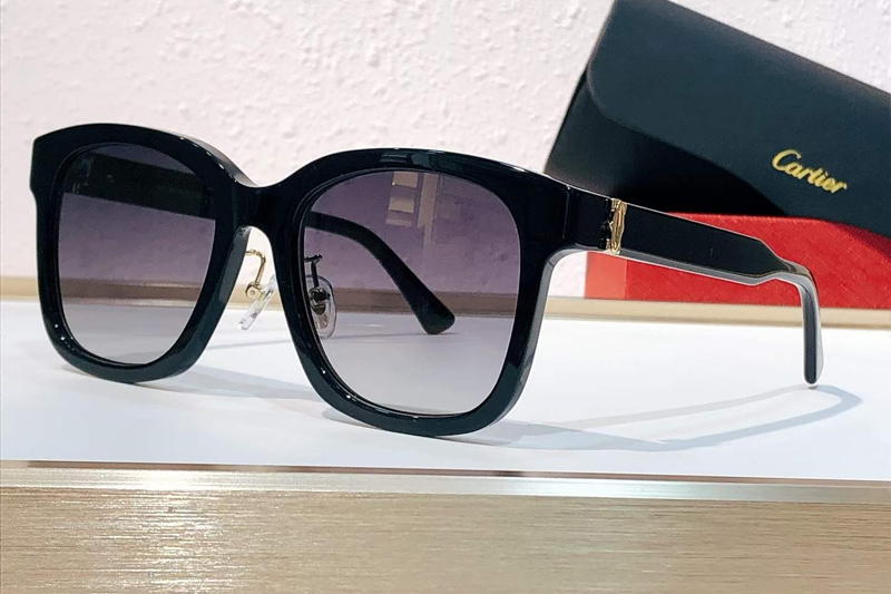 CT0589SA Sunglasses Black Gradient Gray