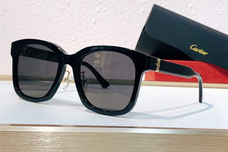 CT0589SA Sunglasses Black Gray