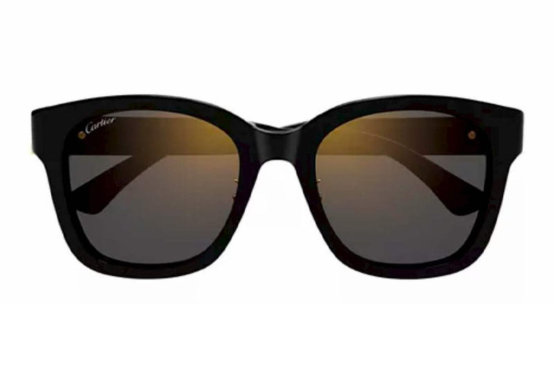 CT0589SA Sunglasses Black Gray