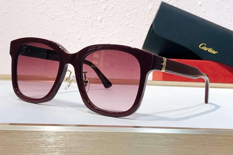 CT0589SA Sunglasses Red Gradient Pink