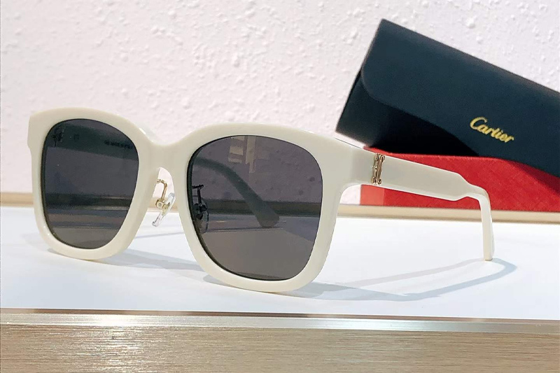 CT0589SA Sunglasses White Gray