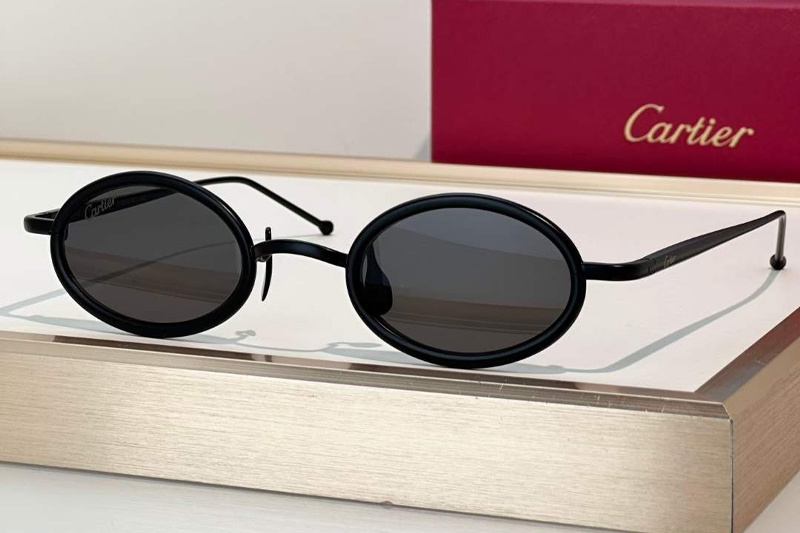 CT0649S Sunglasses Black Gray