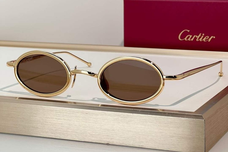 CT0649S Sunglasses Gold Brown