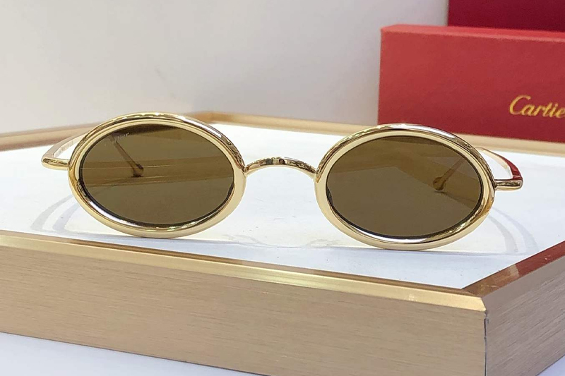 CT0649S Sunglasses Gold Brown