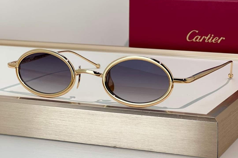 CT0649S Sunglasses Gold Gradient Gray