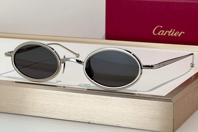 CT0649S Sunglasses Silver Gray