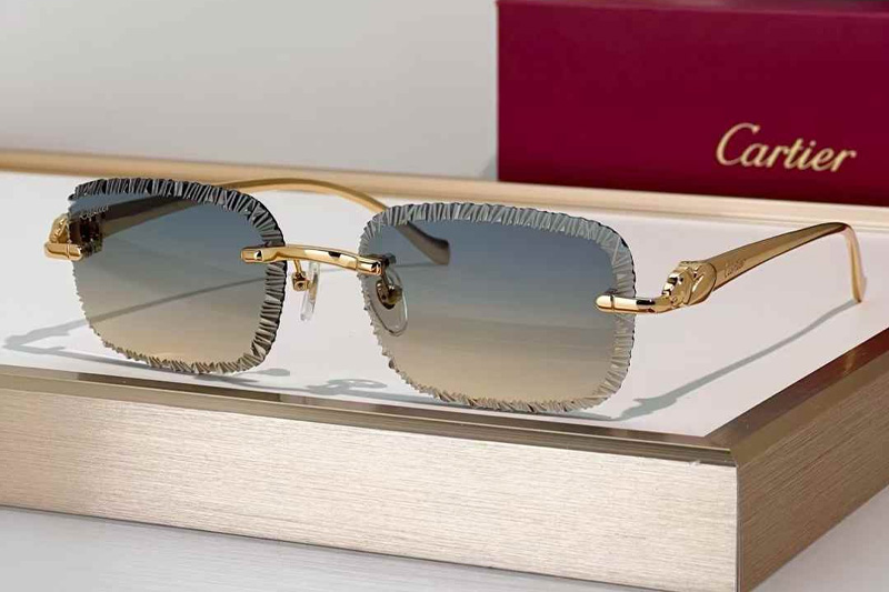 CT06591J Sunglasses Gold Gradient Blue Brown