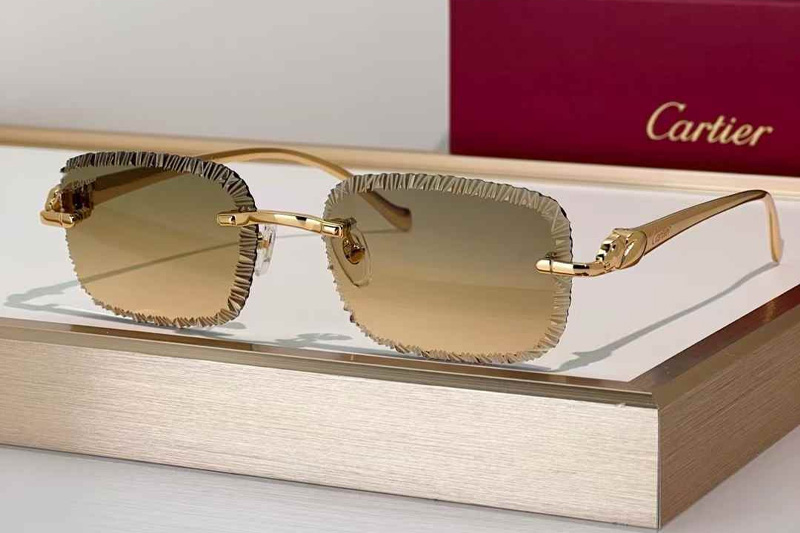 CT06591J Sunglasses Gold Gradient Brown