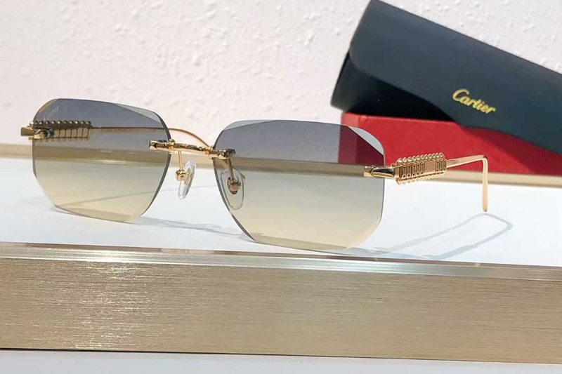 CT0736S Sunglasses Gold Gradient Gray