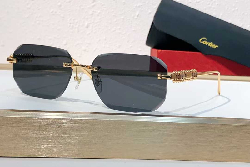 CT0736S Sunglasses Gold Gray