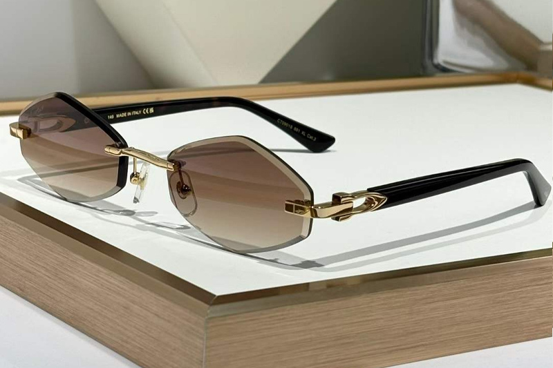 CT0901S Sunglasses Gold Gradient Brown