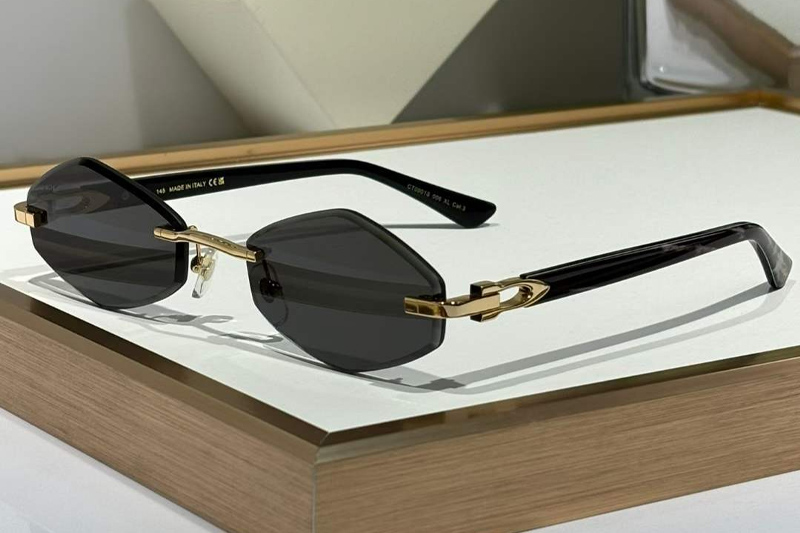 CT0901S Sunglasses Gold Gray