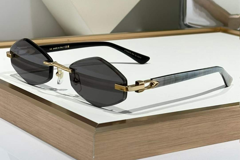 CT0901S Sunglasses Gold White Gray