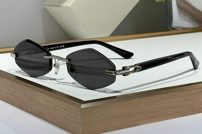 CT0901S Sunglasses Silver Gray