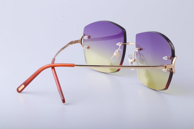 CT4193836 Sunglasses Gold Gradient Purple