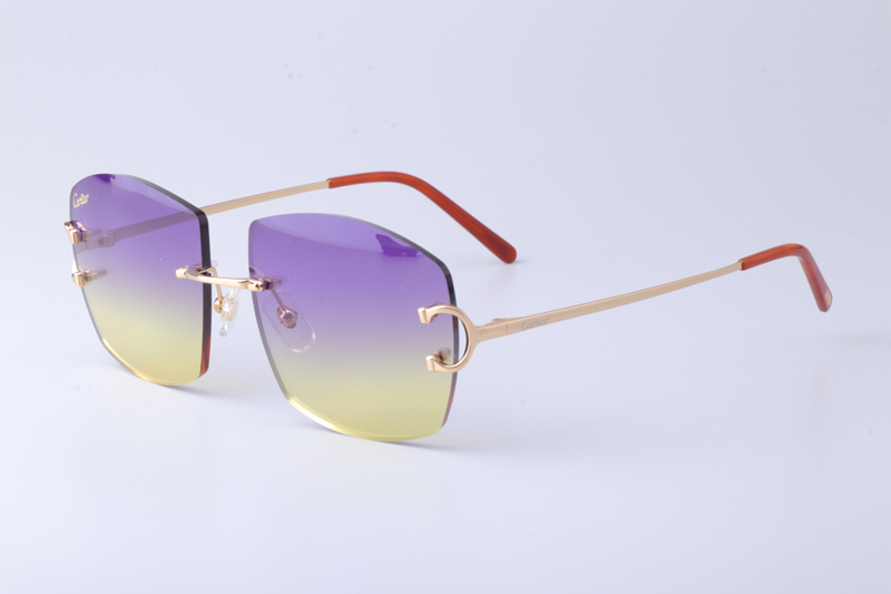 CT4193836 Sunglasses Gold Gradient Purple