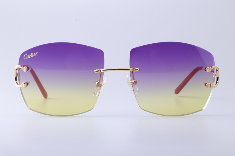 CT4193836 Sunglasses Gold Gradient Purple