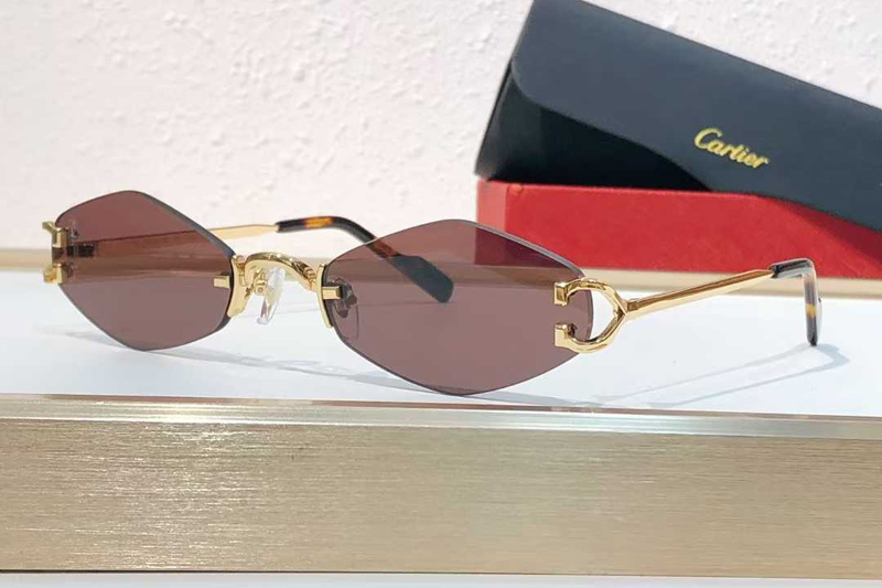 CT8100359 Sunglasses Gold Brown